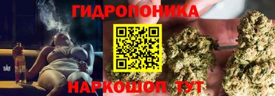 дживик Сланцы