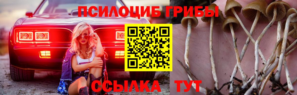 Псилоцибиновые грибы мухоморы  Вход с VPN  Мичуринск 